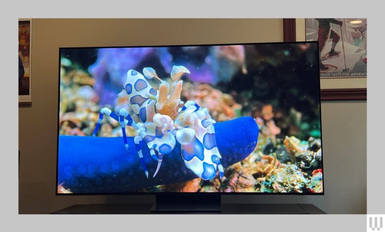 A large screen tv showing an underwater scene of fish and coral