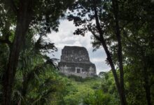 How a PhD student discovered a lost Mayan city hundreds of miles away