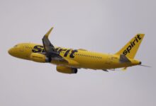 Spirit Airlines Plane Hit By Gunfire While Attempting To Land In Haiti