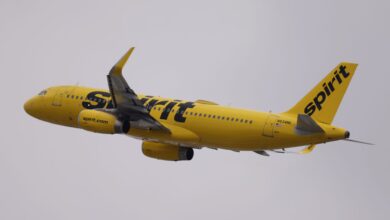 Spirit Airlines Plane Hit By Gunfire While Attempting To Land In Haiti