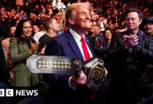 Trump, Elon Musk and new cabinet nominees celebrate at UFC