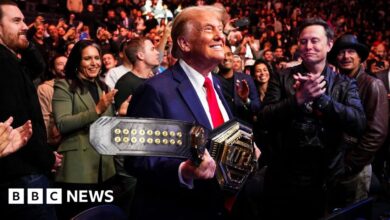 Trump, Elon Musk and new cabinet nominees celebrate at UFC