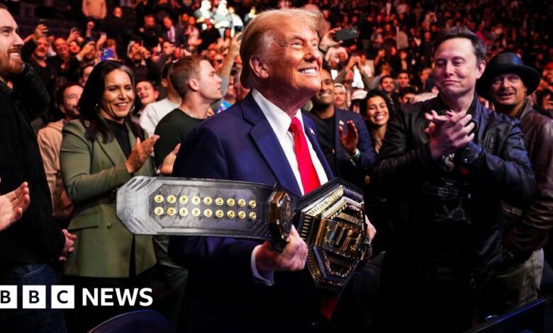 Trump, Elon Musk and new cabinet nominees celebrate at UFC