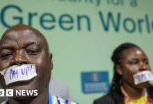 Five key points from COP29