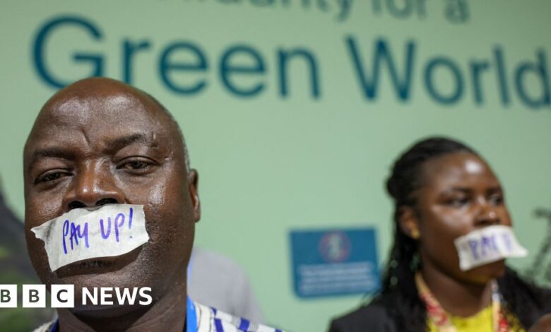 Five key points from COP29