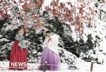 Seoul was covered in the heaviest November snow on record