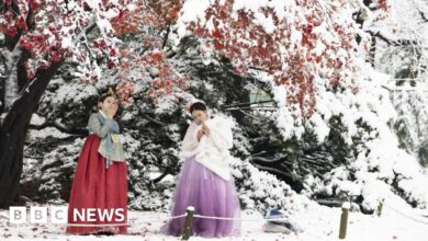 Seoul was covered in the heaviest November snow on record