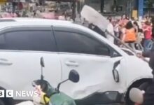 Car crashes into crowd outside elementary school in China