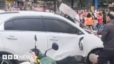 Car crashes into crowd outside elementary school in China