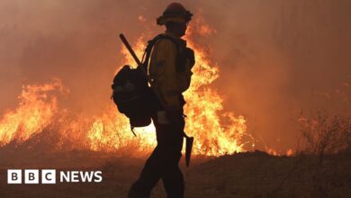 US special envoy vows climate war will continue under Trump