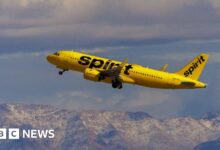 Airlines suspended flights when Spirit plane was hit by bullets