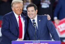 Donald Trump chooses Marco Rubio as secretary of state