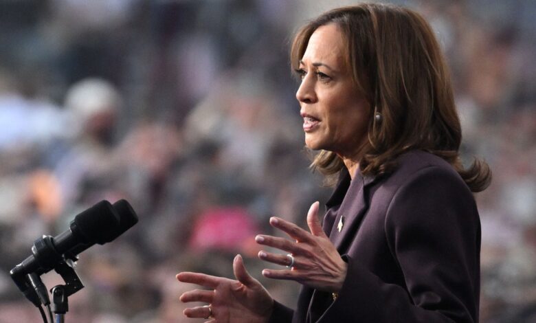 Kamala Harris: “Sometimes the Fight Is Long—That Doesn't Mean We Won't Win”