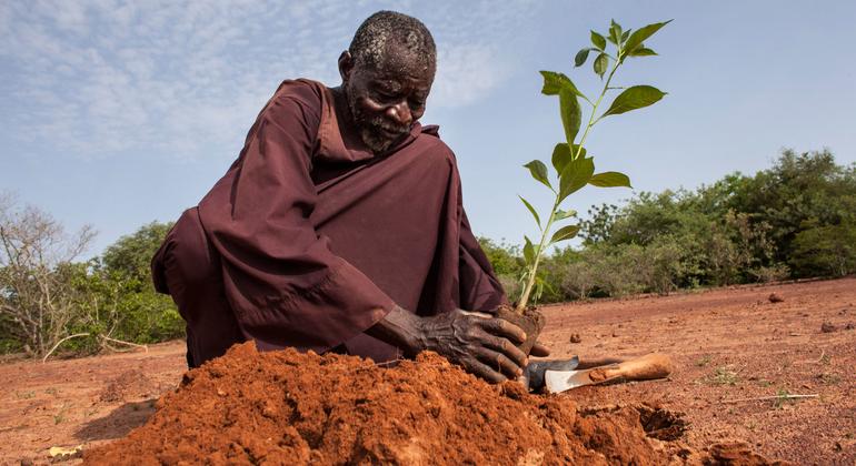 Three billion people globally are affected by land degradation