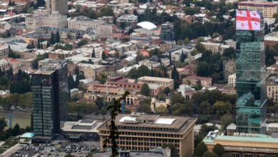 The human rights chief called on Georgian authorities to protect basic freedoms