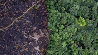 Landmark climate change hearing is biggest ever before UN world court