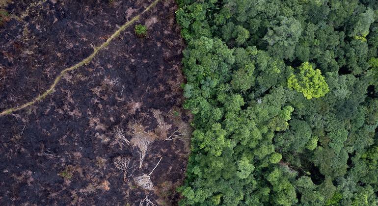 Landmark climate change hearing is biggest ever before UN world court