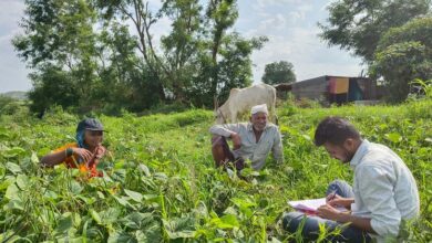 Meet the 'Land Heroes' who are fighting desertification