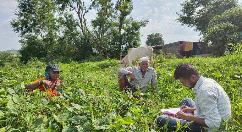 Meet the 'Land Heroes' who are fighting desertification