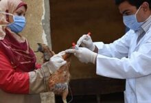 The United Nations health agency said bird flu has appeared in 108 countries across five continents.