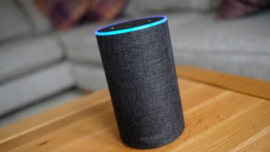 Amazon Alexa 2024 Wrapped: Here's what users asked the voice assistant in India