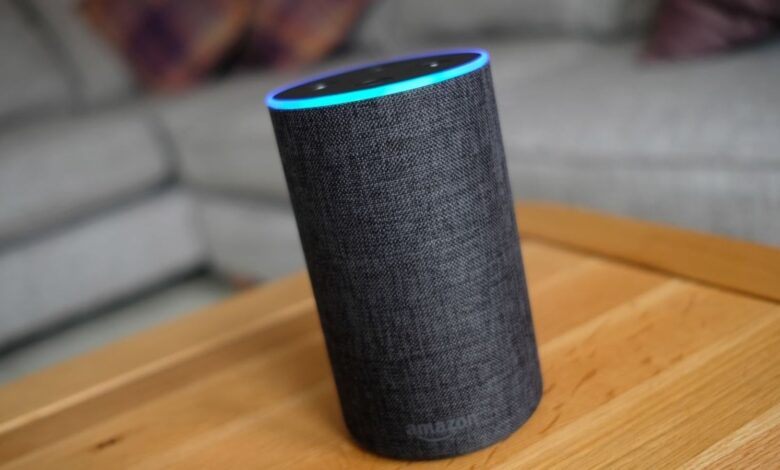 Amazon Alexa 2024 Wrapped: Here's what users asked the voice assistant in India