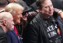 Musk has become a political force even bigger than his fortune thanks to budget deal: 'Welcome to the Elon Musk presidency'