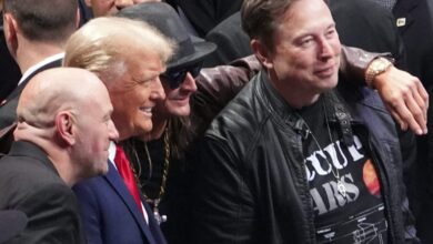 Musk has become a political force even bigger than his fortune thanks to budget deal: 'Welcome to the Elon Musk presidency'