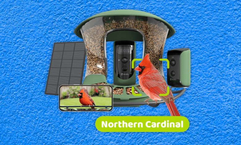 Best bird feeders with cameras, tested and reviewed (2024)