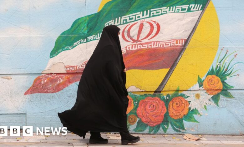 Iran temporarily suspends controversial new dress law