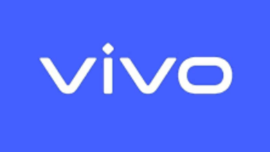 Vivo, Dixon Tech establish joint venture in electronics manufacturing