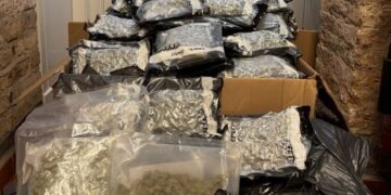 [aggregator] downloaded image for imported item #52822