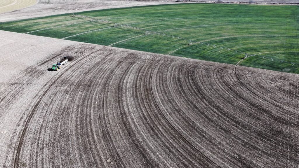 [aggregator] downloaded image for imported item #30021