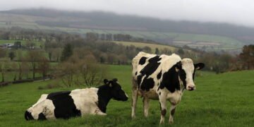 [aggregator] downloaded image for imported item #47162