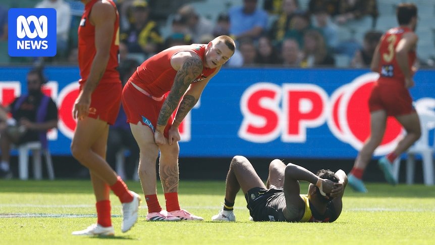 [aggregator] downloaded image for imported item #39178