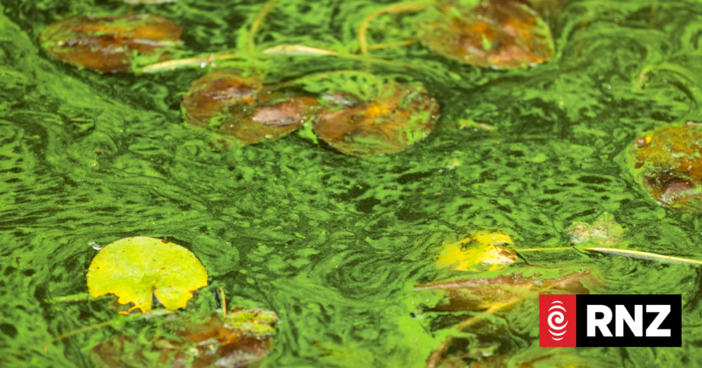 [aggregator] downloaded image for imported item #47989