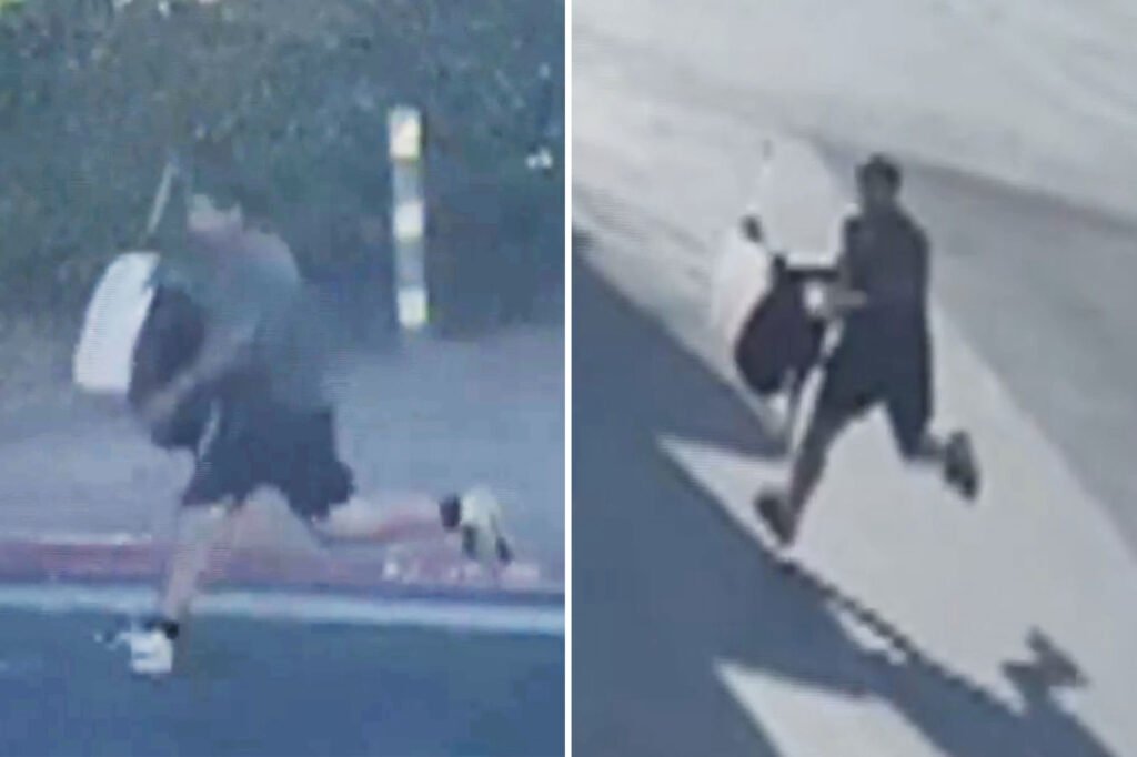 [aggregator] downloaded image for imported item #40559