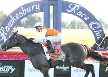 Race-by-race preview and tips for Hawkesbury on Wednesday