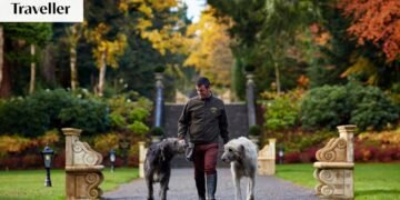 The unexpected highlight of a hotel can sometimes be a four-legged resident The unexpected highlight of a hotel can sometimes be a four-legged resident