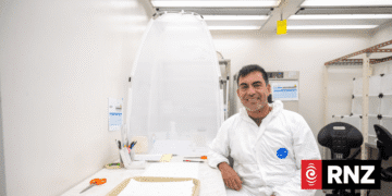 Our Changing World: Building an army to stop a stink bug invasion Our Changing World: Building an army to stop a stink bug invasion