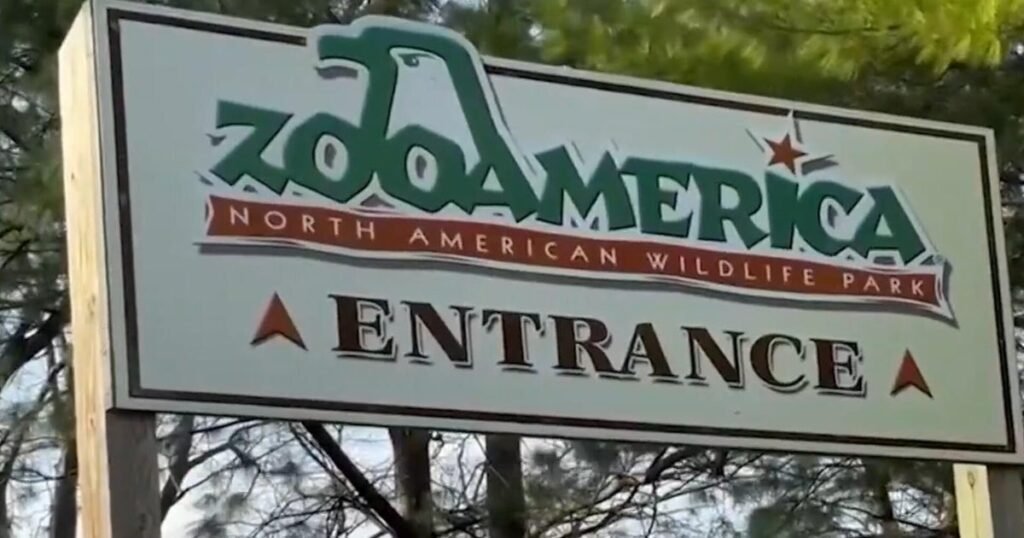 Parents charged after toddler injured by wolf at Pennsylvania zoo