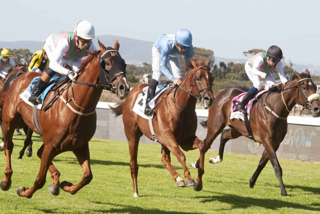 Cheers for raiders of a lost art as visiting trainers bag most of the big prizes