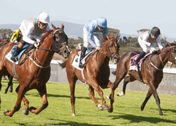 Cheers for raiders of a lost art as visiting trainers bag most of the big prizes