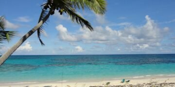 Michigan woman missing after husband says she fell off boat in Bahamas