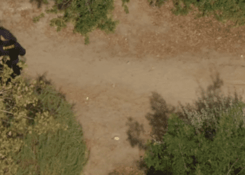 Family finds human remains in Long Beach during Easter egg hunt, police say Family finds human remains in Long Beach during Easter egg hunt, police say